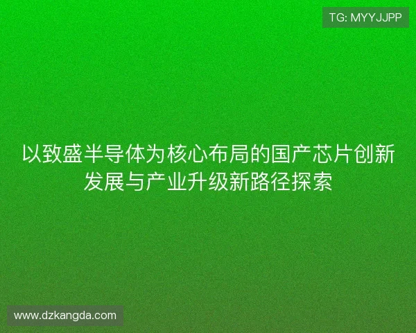 以致盛半导体为核心布局的国产芯片创新发展与产业升级新路径探索